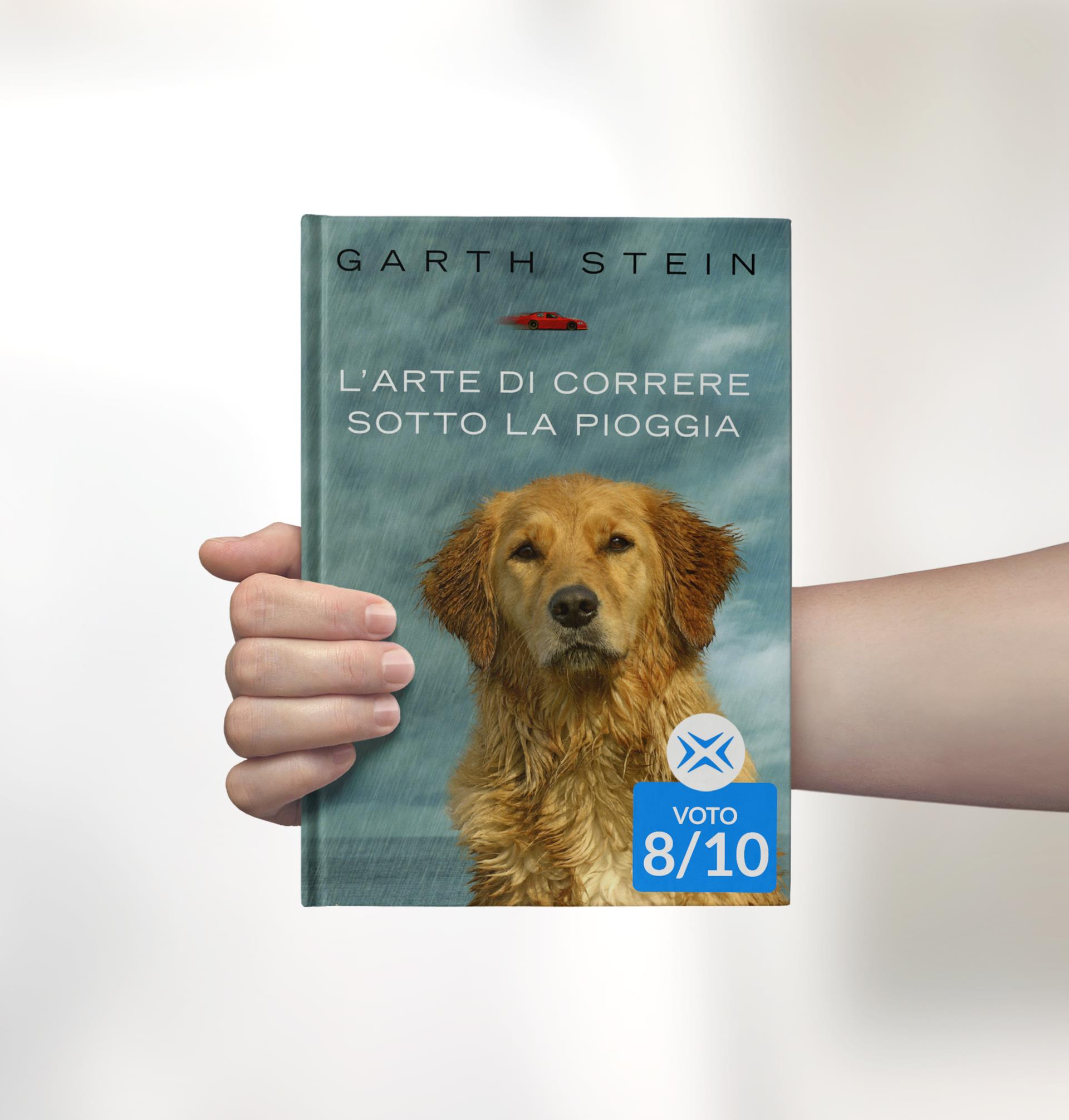 L Arte Di Correre Sotto La Pioggia Recensione