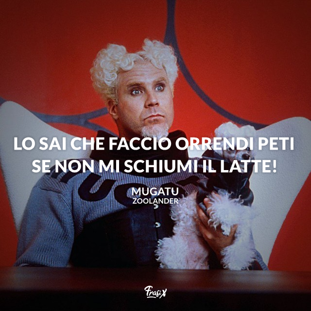 Lo sai che faccio orrendi peti se non mi schiumi il latte!