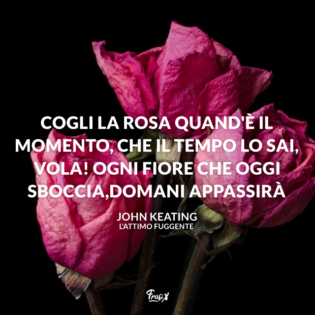 Quando è Il Momento è Così Che Guarisci L'attimo fuggente: le frasi più belle e celebri del film