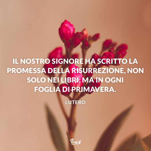 Il Nostro Signore ha scritto la promessa della Risurrezione, non solo nei libri, ma in ogni foglia di primavera.