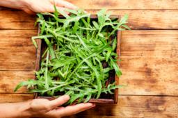 Verdure di stagione a giugno: le proprietà di melanzane, peperoni e rucola