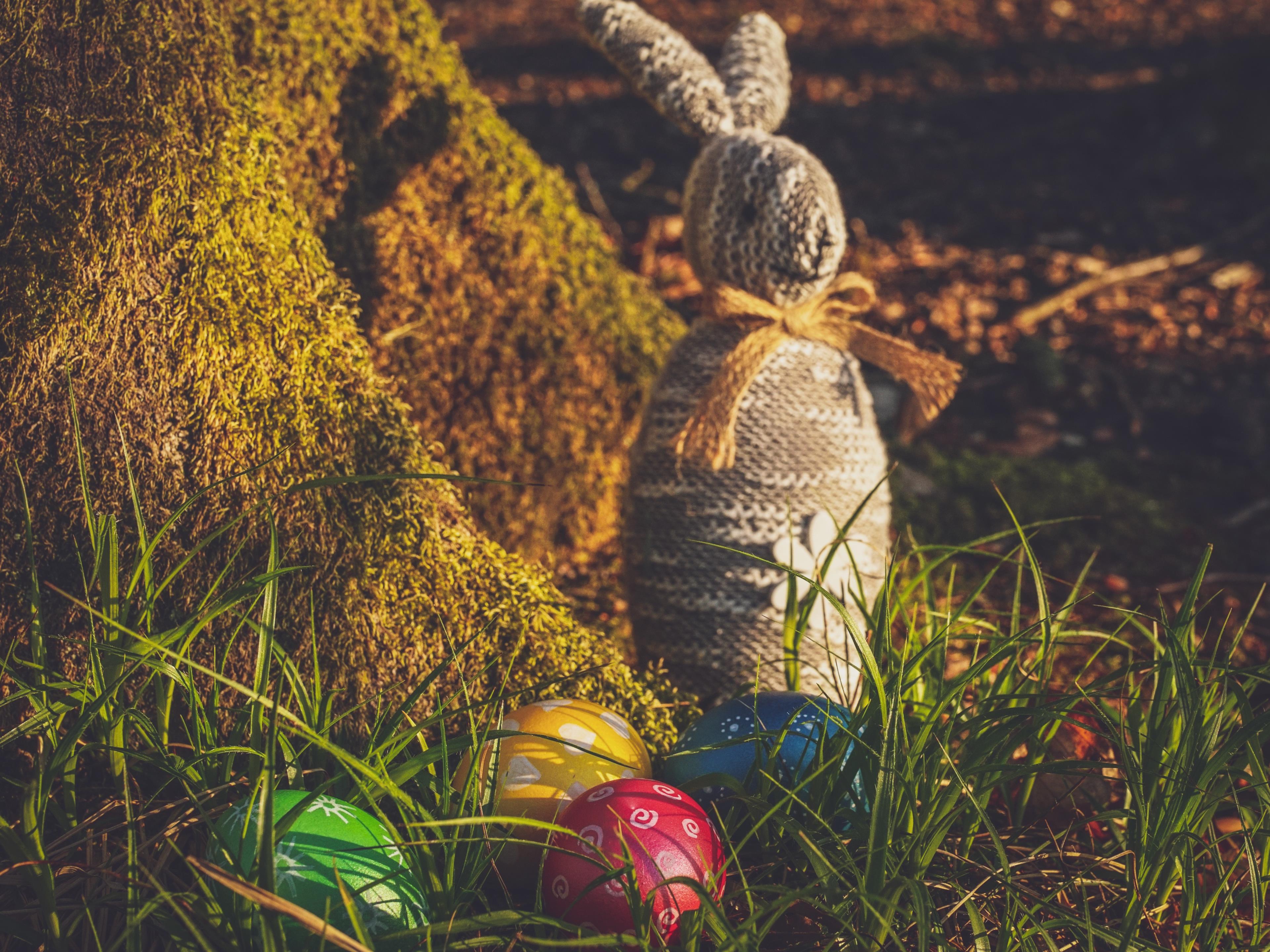 Uova di Pasqua nascoste in giardino