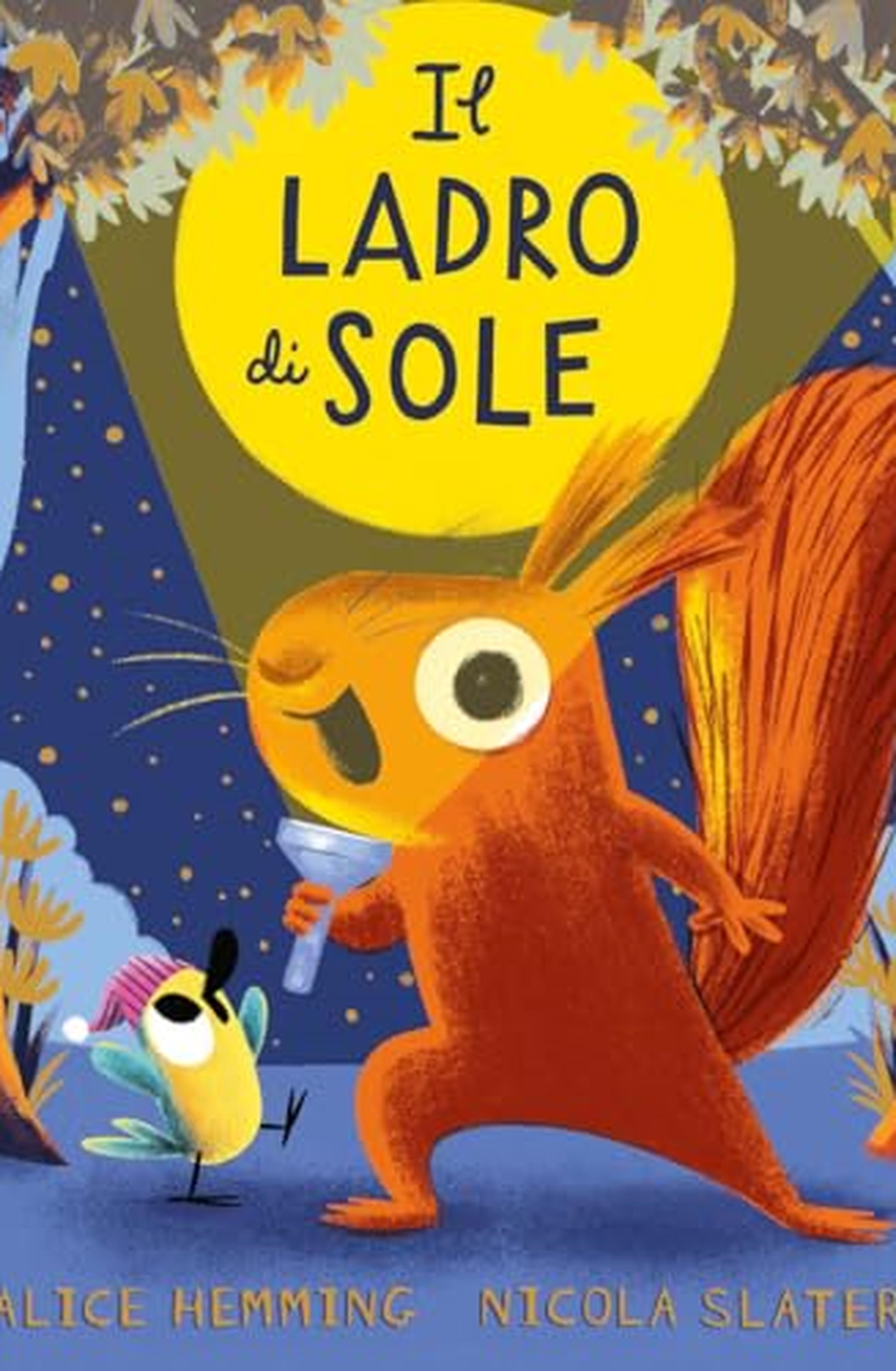 Il ladro di sole. Ediz. a colori