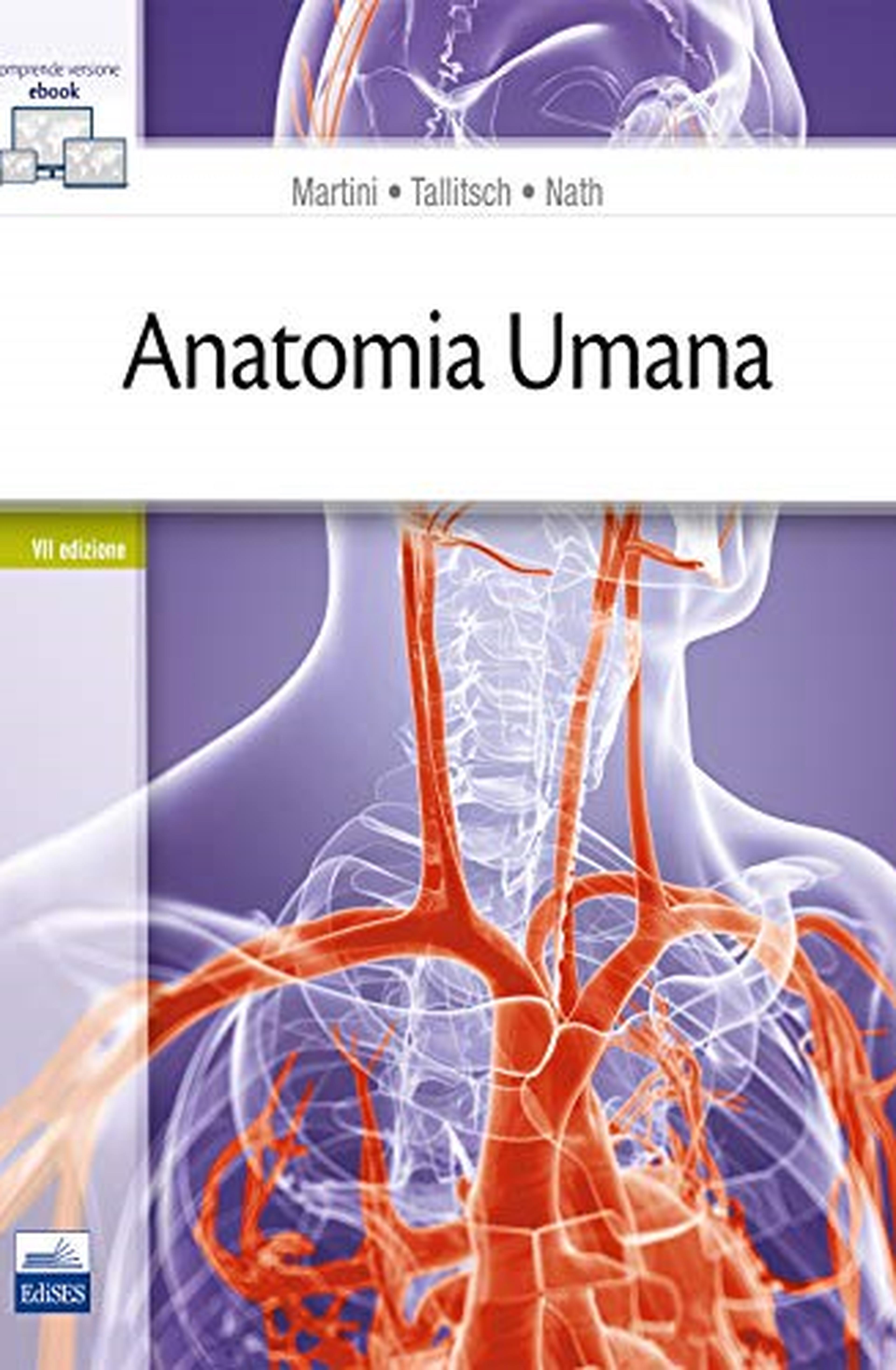 Anatomia umana