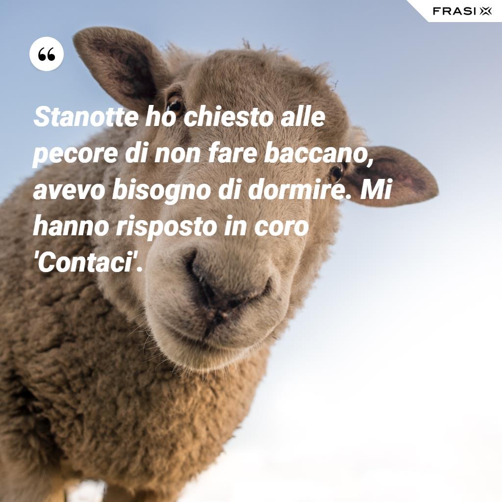 Stanotte ho chiesto alle pecore di non fare baccano, avevo bisogno di dormire. Mi hanno risposto in coro: "Contaci"