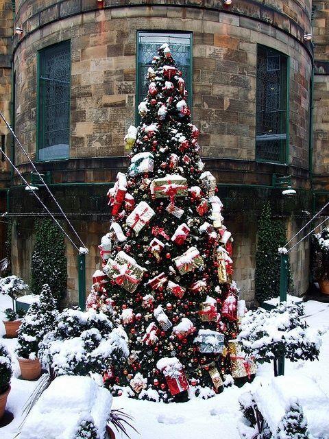 Albero di Natale di Edimburgo, Scozia