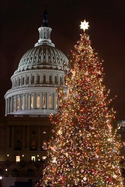 Albero natalizio di Washington negli USA